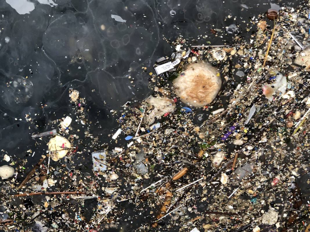 Depremden sonra ikinci tehlike! Marmara Denizi'nde korkutan istila 2